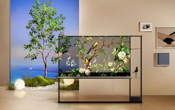 Transparent OLED TVs