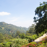 Haggala Botanical Garden